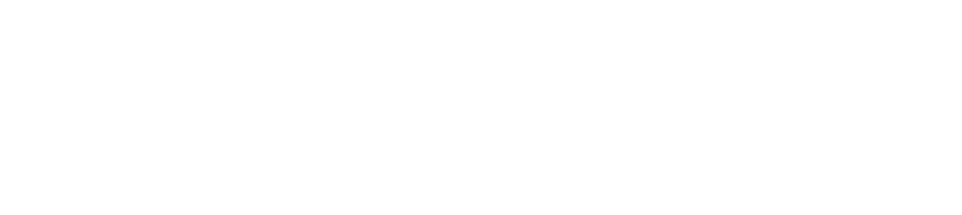Zenith Consulting Solutions